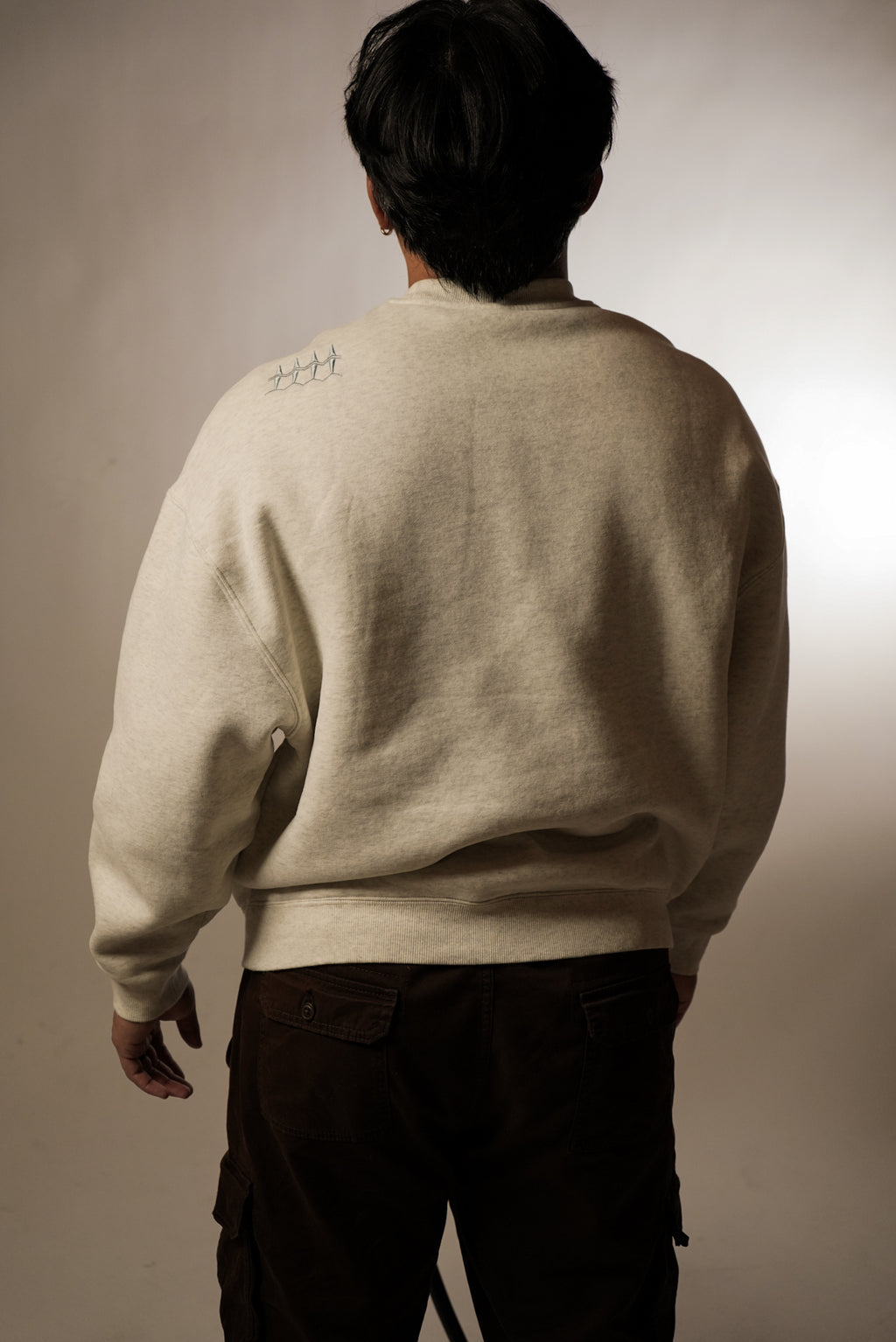 WaveBreaker 4 Star Embroidered Cropped Crewneck (SEE DESCRIPTION)