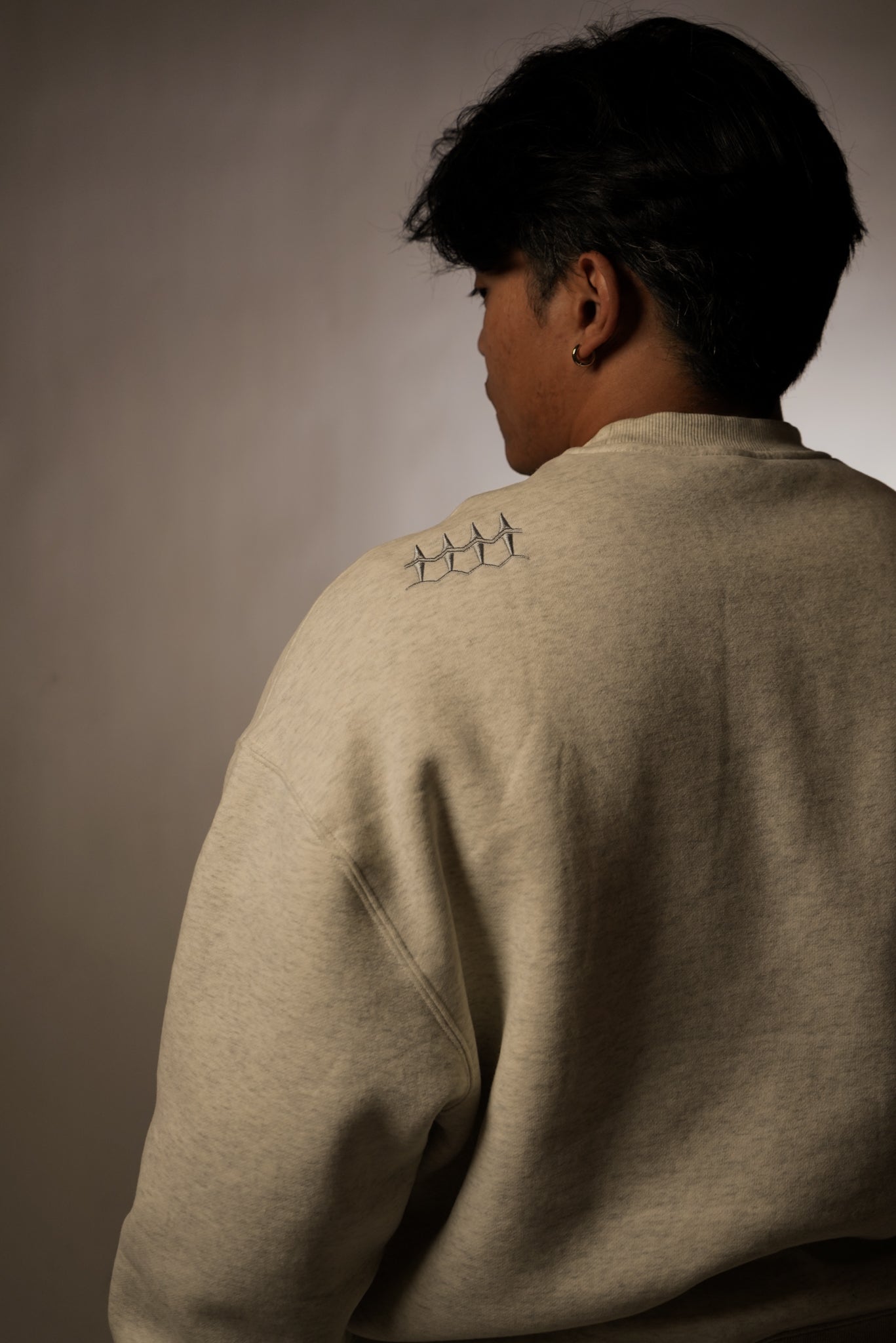 WaveBreaker 4 Star Embroidered Cropped Crewneck (SEE DESCRIPTION)